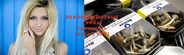 твердый Абаза