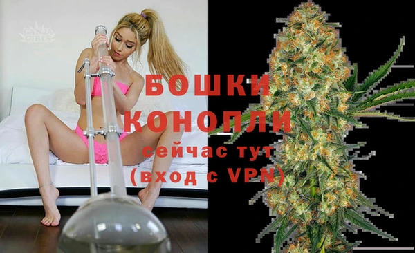 твердый Абаза