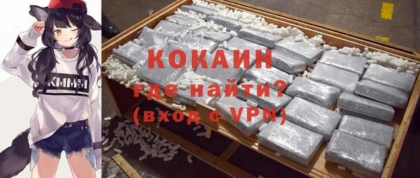 твердый Абаза