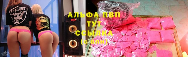 твердый Абаза